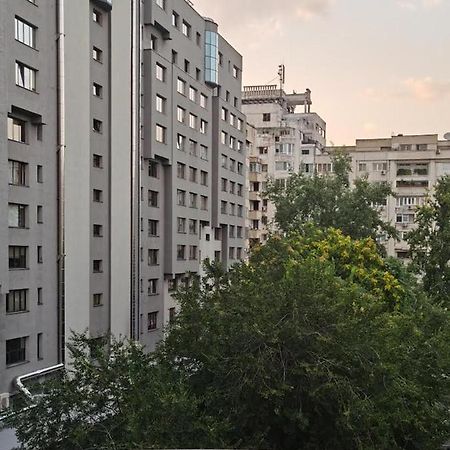 Apartament Peaceful Loft Bukareszt Zewnętrze zdjęcie